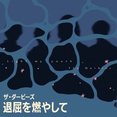 小動物の処方集 CD未開封 BOXちいさな画集2 ニャンコ – ボリス雑貨店