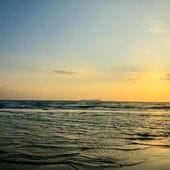 ������(�Ȥ⤷��) / ���˱Ǥ���