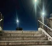 ��2/11ȯ���������������ʤ��� / ��