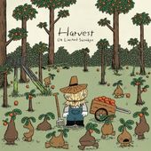 04 Limited Sazabys / Harvest��RECORD��