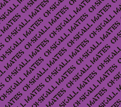 ��5/27ȯ���Oi-SKALL MATES /  �谭������ II 