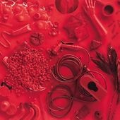 ��4/29ȯ��ۤ����ߤ�� / �ĽդΥ��������ȥ��ȡ�RECORD��