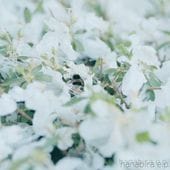 ��̵�ʹ� / hanabira