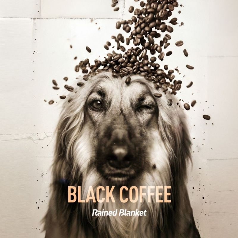 Rained Blanket / Black Coffee | CD,日本,メロコア / スカパンク