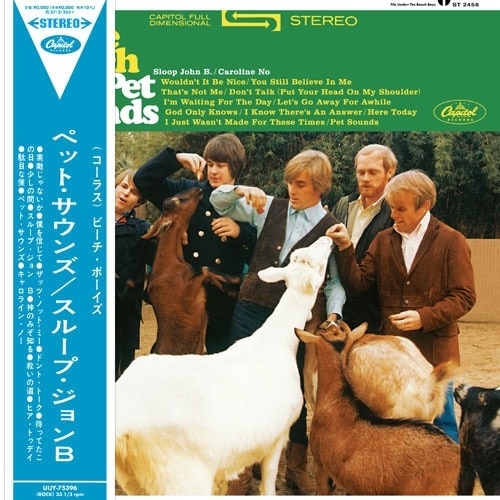 BEACH BOYS(�ӡ����ܡ�����) / �ڥåȡ������󥺡�RECORD��