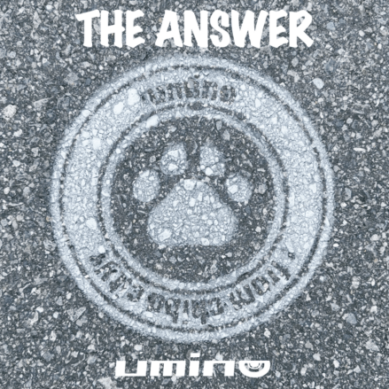 umino / THE ANSWER