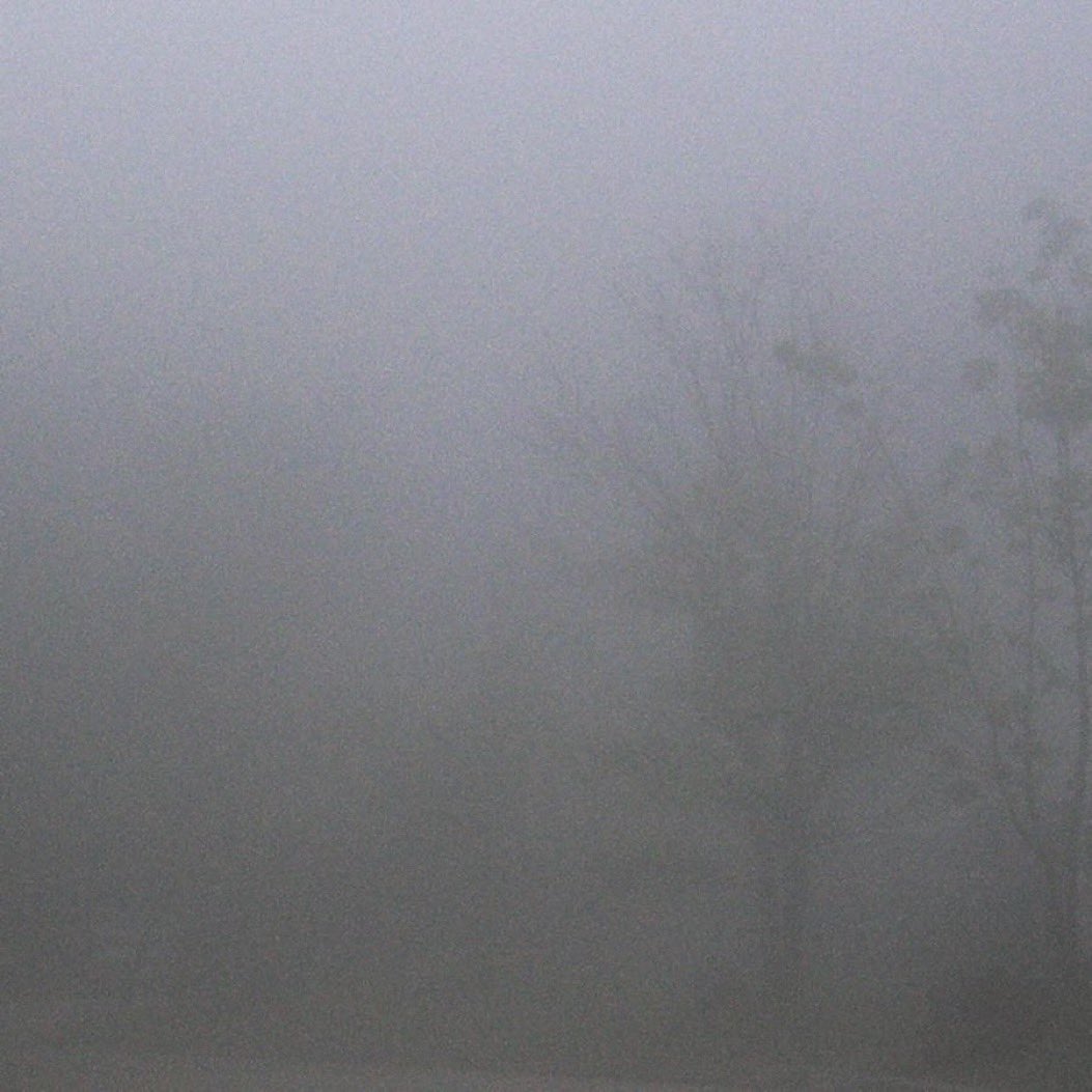 ����ŵ����� downt / �� ��RECORD��