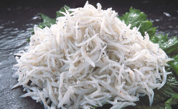 ȾĮۤդդդȤ饹ʼѤ