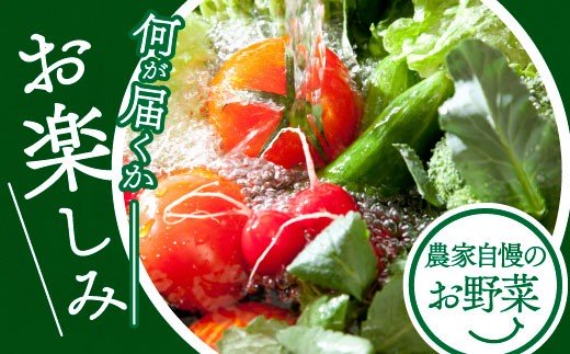 ȾĮۤߤߤȾοڥåȡ78