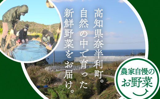 ȾĮۤߤߤȾοڥåȡ78