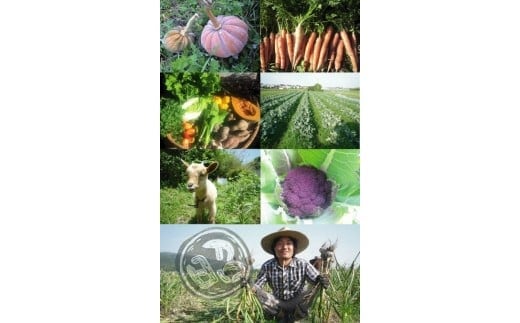 ͽ���������Ⱦ��Į�۾���Ȫ�Τ������̵���������ˤ�ˤ��������