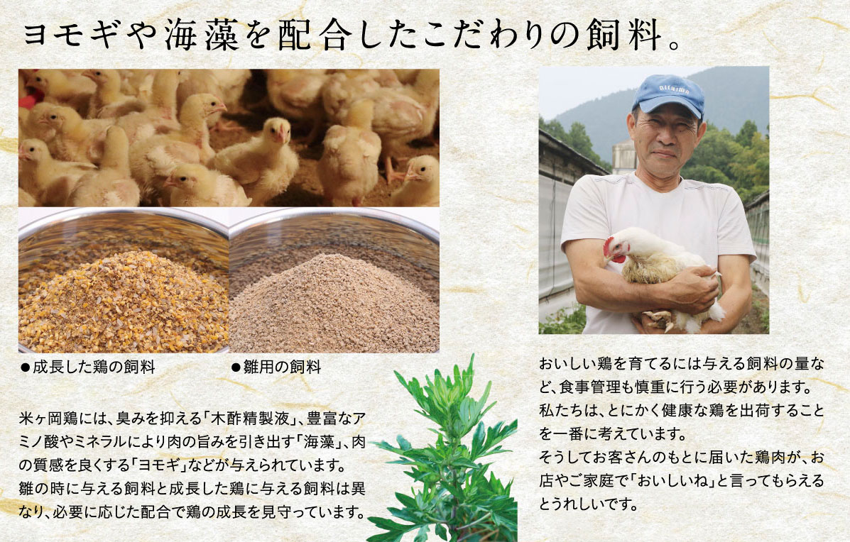 ȾĮۿ١ղðΤΤˤˤ̣ọ̇̄å