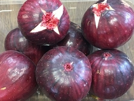 ����Ⱦ������Ⱦ���Τ������������Ǻ�ä�̵ź�åɥ饤�ե롼�ģ����å�