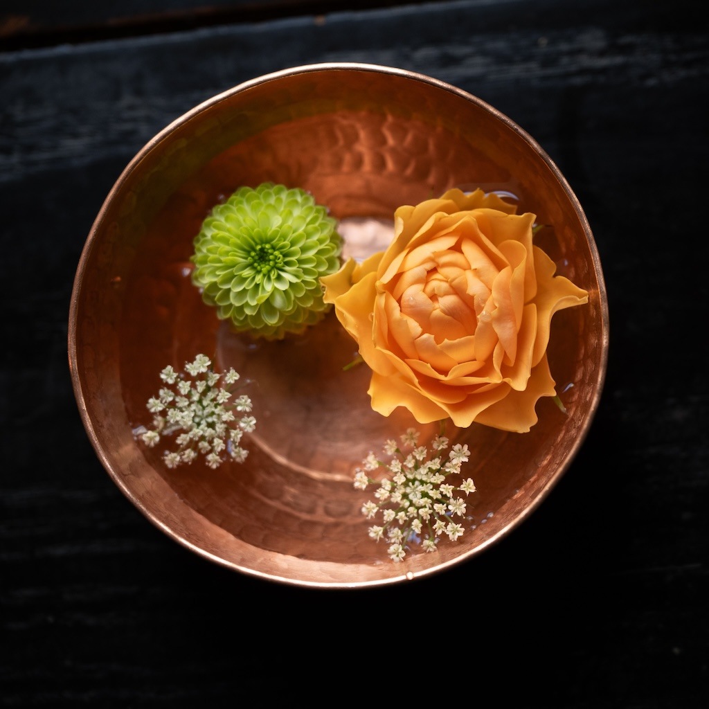 �ͥѡ��������Ū��Ƽ�Υܥ�������