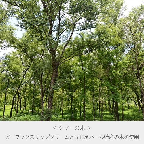 �ڤΥ��ѥ����