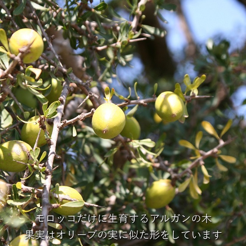 ���륬�󥯥꡼��