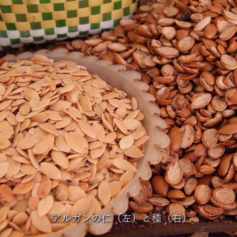 �ʥ������� ���륬�󥪥���