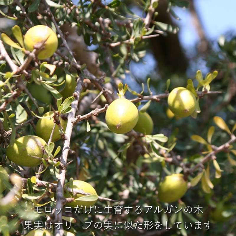 �ʥ������� ���륬�󥪥���