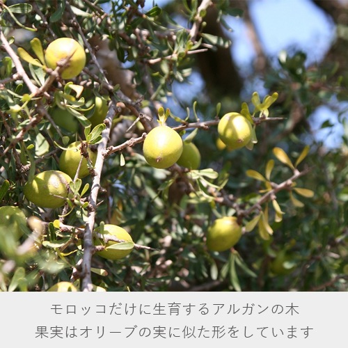 ���륬���и�