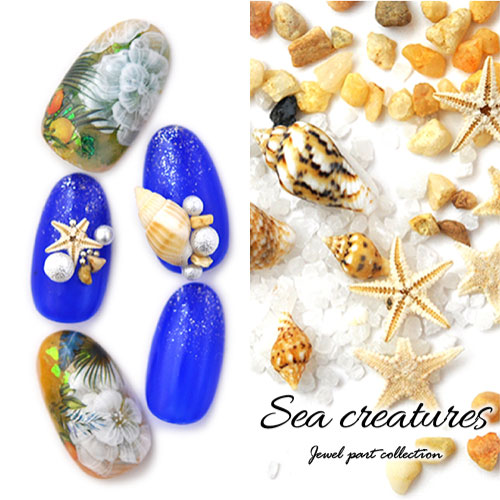 ネイルパーツ 天然貝 本物ヒトデ 天然石 ネイルジュエリー スターフィッシュ マリンパーツ ネイルアートメタル ヒトデ サマーネイル 夏 ジェル ネイル ジェル ネイルアート ネイルジュエリー マリン サマー メタルスタッズ ネイル工房 すべての商品 ネイル用品専門店