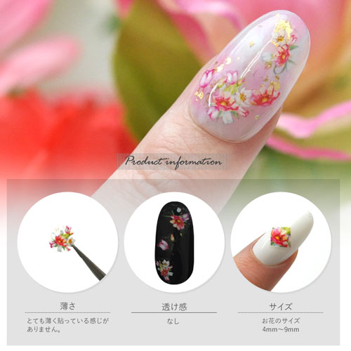 フラワーネイルシール ネイルシール フラワー お花 赤 Mt040 ネイル シール ネイル用品 デコ ネイルパーツ ジェルネイル ジェル 花 花柄 ジェルネイルシール ネイルアート ジェルネイルアート ネイルグッズ フラワーネイル セルフジェルネイル ネイル工房 すべての