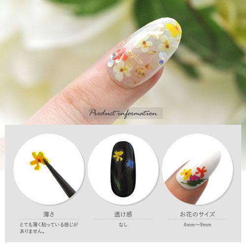 ネイルシール 押花 フラワー 透明 ポップ リーフ 葉 ジェルネイル ネイル ネイル用品 ジェル シール デコ用品 貼るだけ ジェルネイルシール 花柄 花 フラワーネイルシール ネイルアート ジェルネイルアート フラワーネイル セルフジェルネイル ネイル工房 すべての