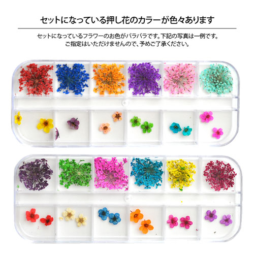 ジェルネイル レジンに 押し花12種類セット フラワーお試しセット Br Br ネイルパーツ ネイルアート フラワー デコ 花 ネイル パーツ ネイル用品 パーツセット ジェルネイル用品 レジン用品 ネイルグッズ 材料 ジェルネイル ジェル ジェルネイルパーツ ジェルネイル レジンに 押し花12種類セット フラワーお試しセット Br Br ネイルパーツ ネイルアート フラワー デコ 花 ネイル パーツ ネイル用品 パーツセット ジェルネイル用品 レジン用品 ネイルグッズ 材料 ジェルネイル ジェル ジェルネイルパーツ