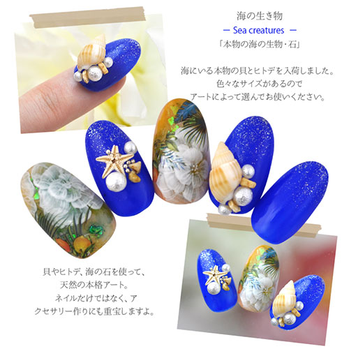 ネイルパーツ 天然貝 本物ヒトデ 天然石 ネイルジュエリー スターフィッシュ マリンパーツ ネイルアートメタル ヒトデ サマーネイル 夏 ジェル ネイル ジェル ネイルアート ネイルジュエリー マリン サマー メタルスタッズ ネイル工房 Nail Art ネイルパーツ ネイル ネイルパーツ 天然貝 本物ヒトデ 天然石 ネイルジュエリー スターフィッシュ マリンパーツ ネイルアートメタル ヒトデ サマーネイル 夏 ジェル ネイル ジェル ネイルアート ネイルジュエリー マリン サマー メタルスタッズ ネイル工房 Nail Art ネイルパーツ ネイル