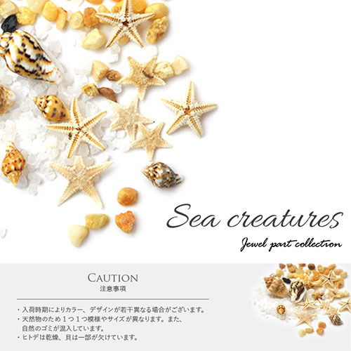 ネイルパーツ 天然貝 本物ヒトデ 天然石 ネイルジュエリー スターフィッシュ マリンパーツ ネイルアートメタル ヒトデ サマーネイル 夏 ジェル ネイル ジェル ネイルアート ネイルジュエリー マリン サマー メタルスタッズ ネイル工房 Nail Art ネイルパーツ ネイル ネイルパーツ 天然貝 本物ヒトデ 天然石 ネイルジュエリー スターフィッシュ マリンパーツ ネイルアートメタル ヒトデ サマーネイル 夏 ジェル ネイル ジェル ネイルアート ネイルジュエリー マリン サマー メタルスタッズ ネイル工房 Nail Art ネイルパーツ ネイル