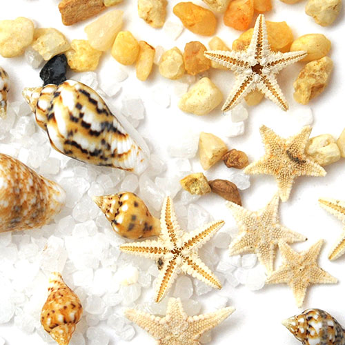 ネイルパーツ 天然貝 本物ヒトデ 天然石 ネイルジュエリー スターフィッシュ マリンパーツ ネイルアートメタル ヒトデ サマーネイル 夏 ジェル ネイル ジェル ネイルアート ネイルジュエリー マリン サマー メタルスタッズ ネイル工房 Nail Art ネイルパーツ ネイル ネイルパーツ 天然貝 本物ヒトデ 天然石 ネイルジュエリー スターフィッシュ マリンパーツ ネイルアートメタル ヒトデ サマーネイル 夏 ジェル ネイル ジェル ネイルアート ネイルジュエリー マリン サマー メタルスタッズ ネイル工房 Nail Art ネイルパーツ ネイル