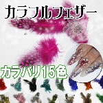デコにネイルにカラフルフェザー（ホロホロ）10枚入り【パーツ】|ネイル用品&パーツ