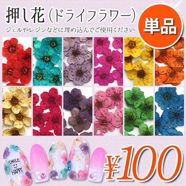 【押し花 5枚入り 単品】ドライフラワー ジェルネイル スカルプネイル レジン アクセサリー作りに大活躍!春 夏ネイルにオススメ!花 華 素材 飾り 単色 オレンジレッド パープル ピンク イエロー ベージュ グリーン ブルー【パーツ】