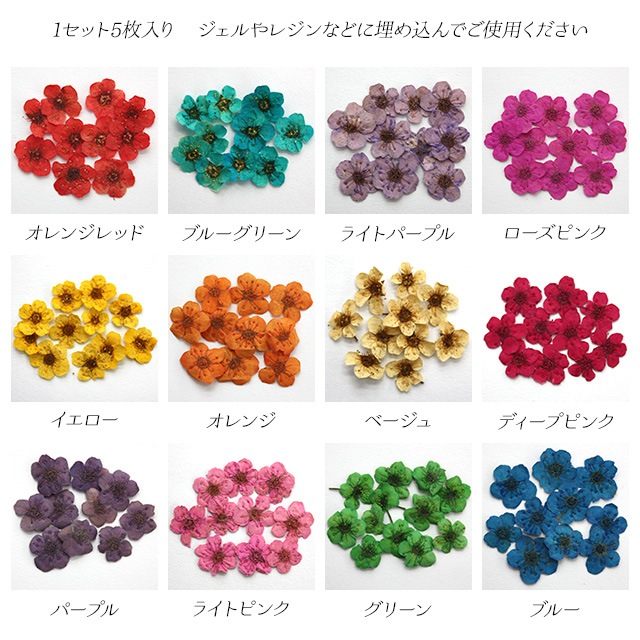 【押し花 5枚入り 単品】ドライフラワー ジェルネイル スカルプネイル レジン アクセサリー作りに大活躍!春 夏ネイルにオススメ!花 華 素材 飾り 単色 オレンジレッド パープル ピンク イエロー ベージュ グリーン ブルー【パーツ】