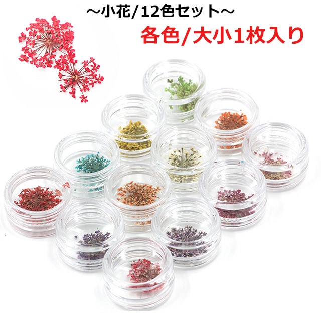 ドライフラワー【押し花or小花】12個 セット フラワー 花 茎 花束 デザイン ジェルネイル スカルプネイル レジンアクセサリー レジン デコ 春 夏 カラフル ポップ ネイルデザイン 1000円ポッキリ ポッキリ ぽっきり ポイント消化 ゆうパケット送料無料【パーツ】