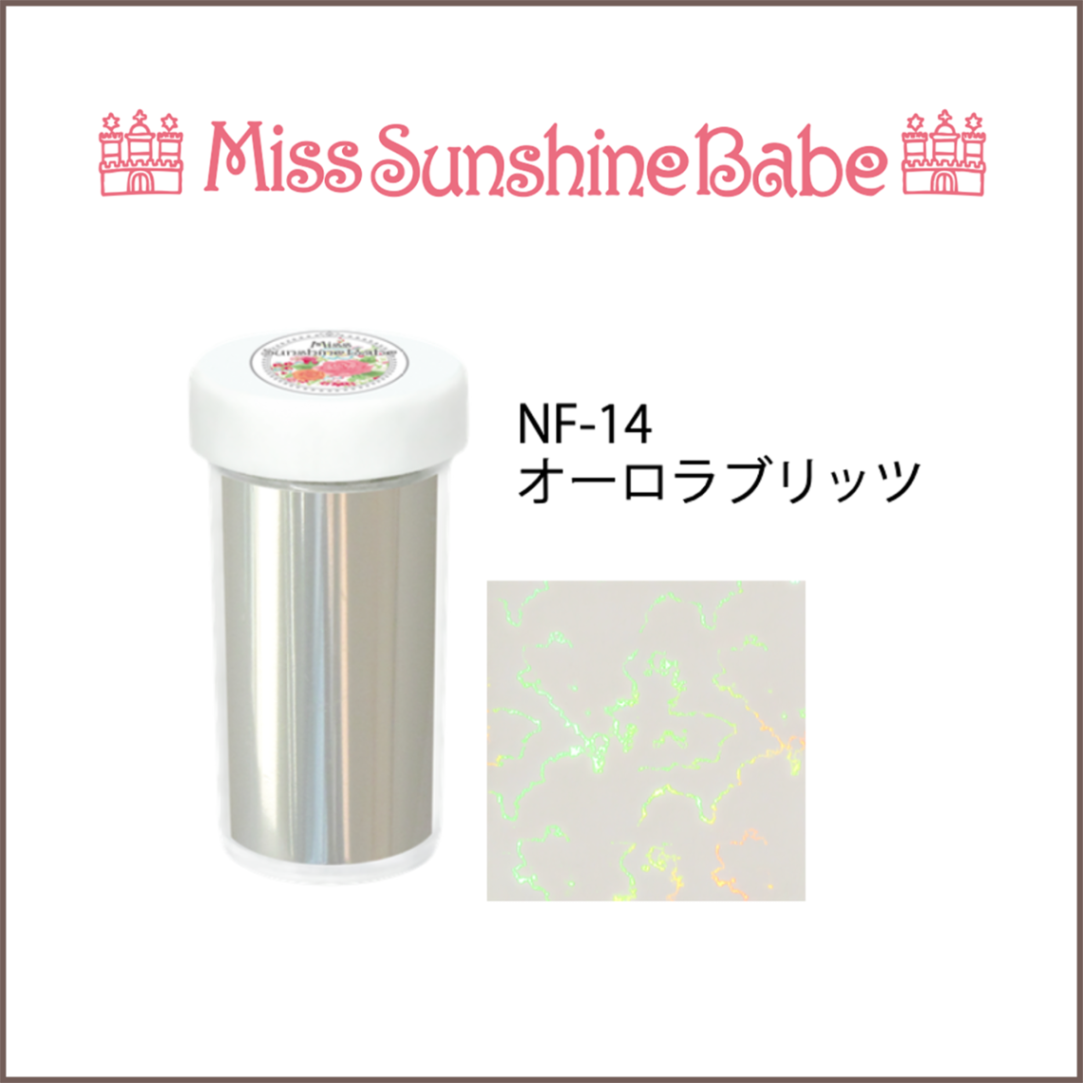 NF-14 オーロラブリッツ