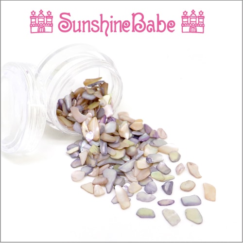 B-10/クリアケース入り