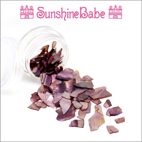 B-2/クリアケース入り