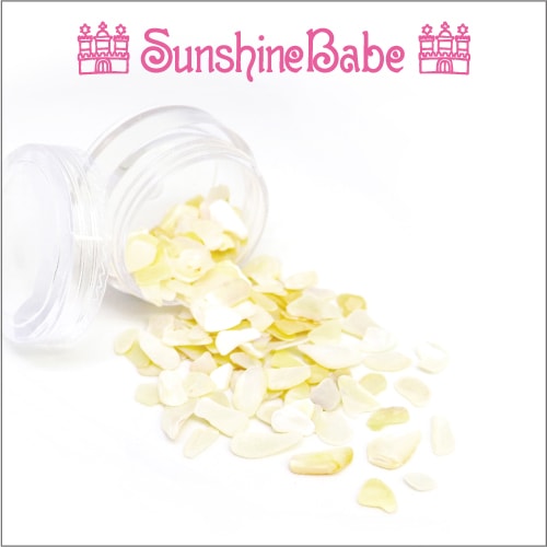 B-7/クリアケース入り