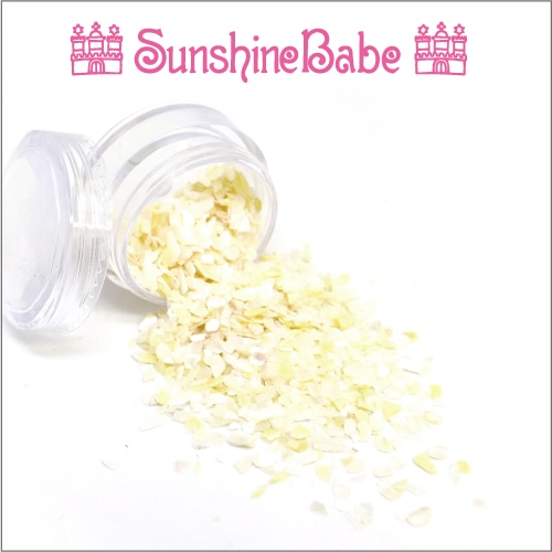 B-8/クリアケース入り