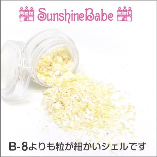 B-9/クリアケース入り