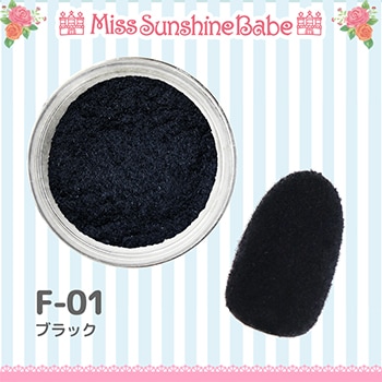 F-01 ブラック/2.5g
