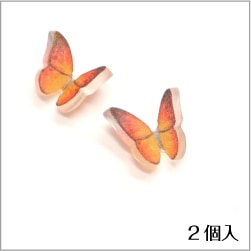 スウィートパピヨン サンセット