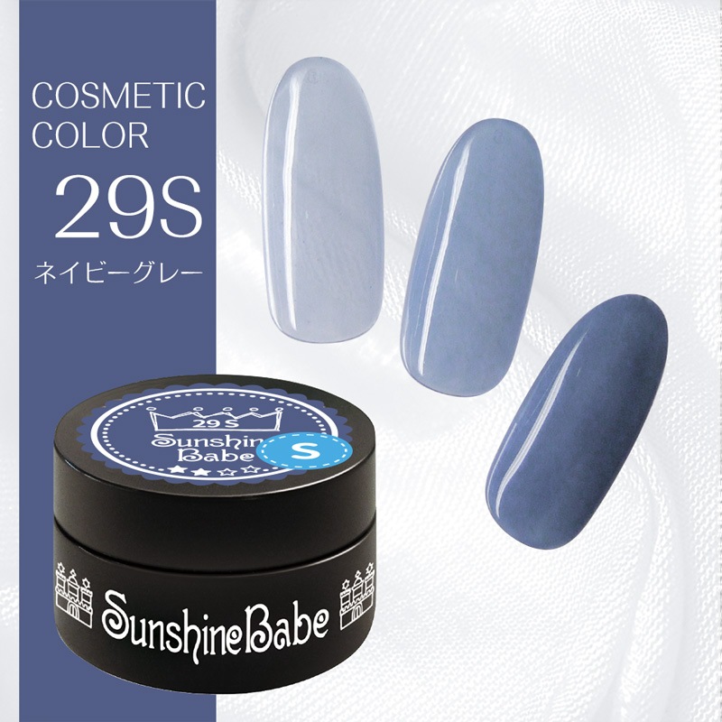 29S ネイビーグレー/2.7g