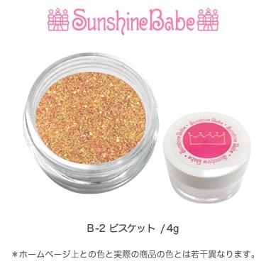 B-2 ビスケット/4g