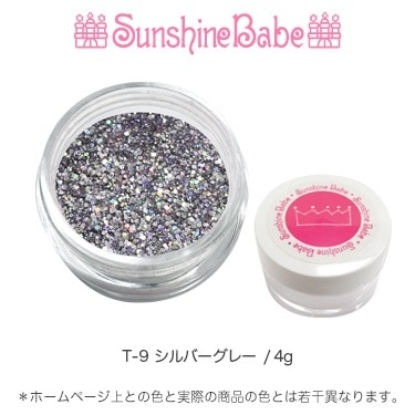 T-9 シルバーグレー/4g