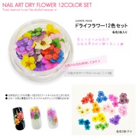 【ネコポス 送料無料】ドライフラワーセット　約10色セット！各色3枚入り　色とりどりの天然花で爪先を華やかに　 |ドライフラワー|ネイルアート用品