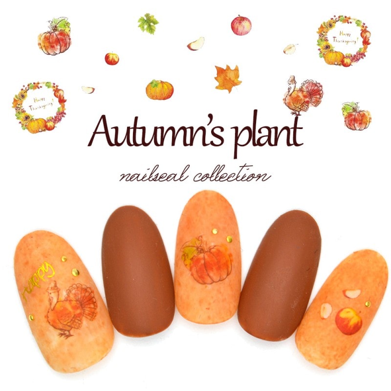 �ڥݥ����10�ܡ�2/13 10:00�ޤǡۡڥͥ��ݥ� ����̵���ۥ�������ץ��ȥ����� [E455] �ե롼�� ���ܤ��㡡�ѥ�ץ��� ��ʪ �� �� �� ��ʪ �ͥ��� �ͥ��륷���� ������ͥ��� �쥸�� �ϥ�ɥᥤ��