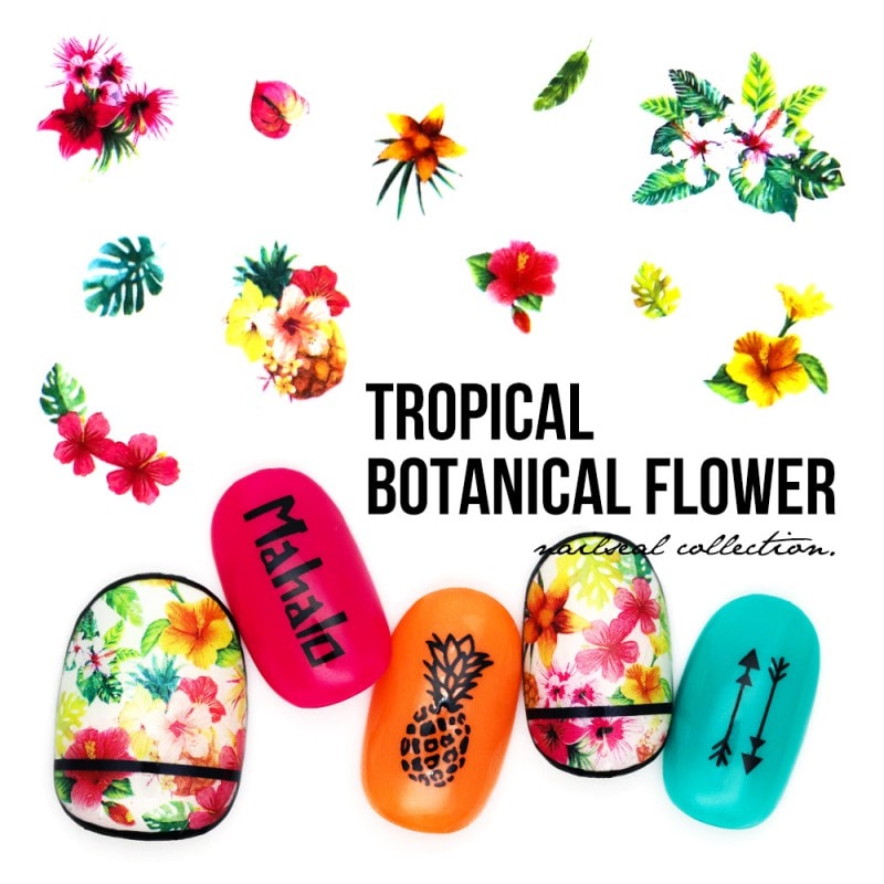 �ڥݥ����10�ܡ�2/13 10:00�ޤǡۡڥͥ��ݥ�����̵���ۥͥ��륷���� �ȥ��ԥ���ܥ��˥���ե������� [F420]