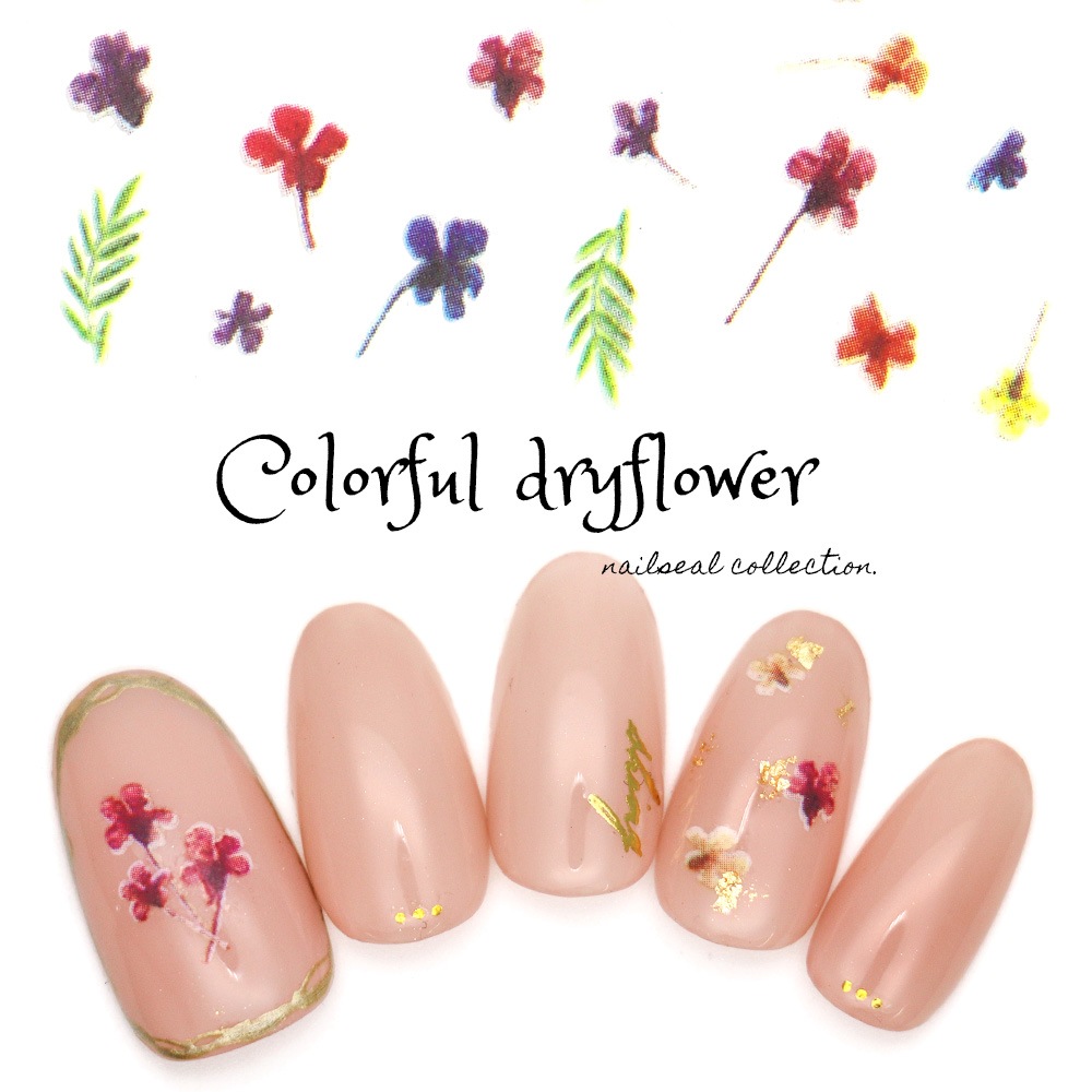 ネコポス送料無料 ネイルシール カラフルドライフラワーシール Mg 1708 08 ネイルアート用品 ネイルシール ネイルシール キュート ポップ ジェルネイルキット ネイル用品専門店 ネイルタウン