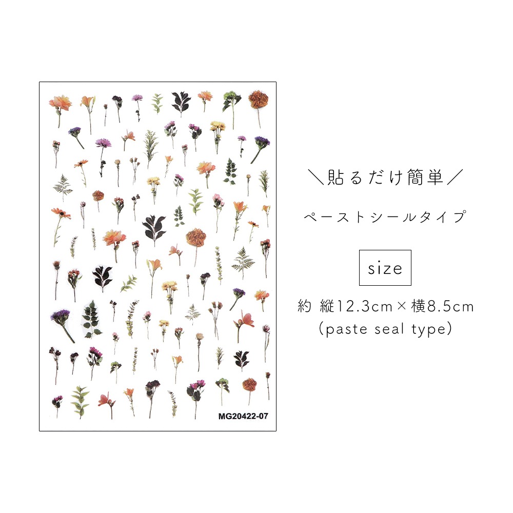 �ڥͥ��ݥ�����̵���ۥͥ��륷���� ��ȥ��ܥ��˥��륷���� [MG20422-07] 